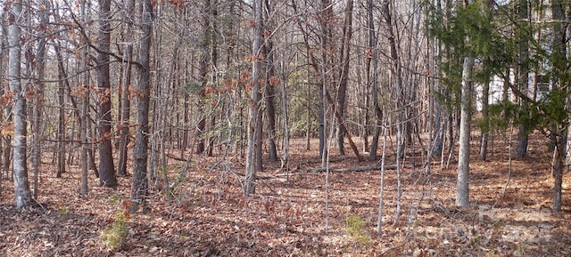 view of local wilderness