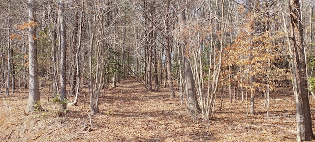 view of local wilderness