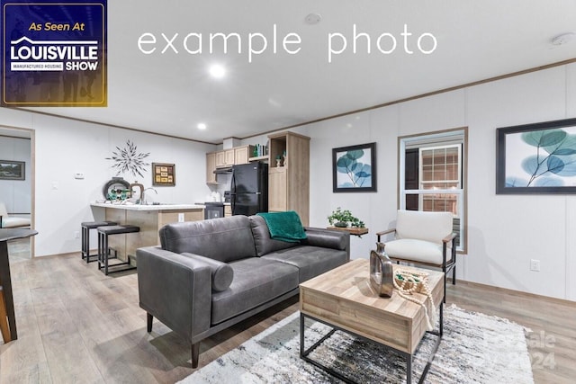 living room featuring sink, crown molding, and light hardwood / wood-style floors