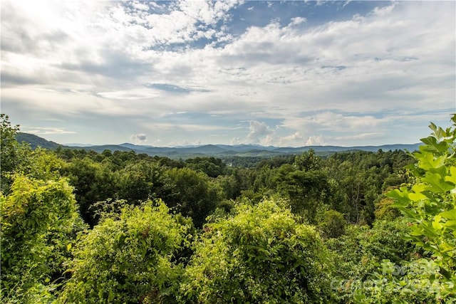 view of mountain feature