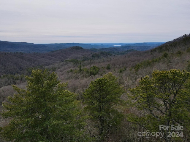 Listing photo 2 for TBD Paul Mccoy Rd, Lake Toxaway NC 28747