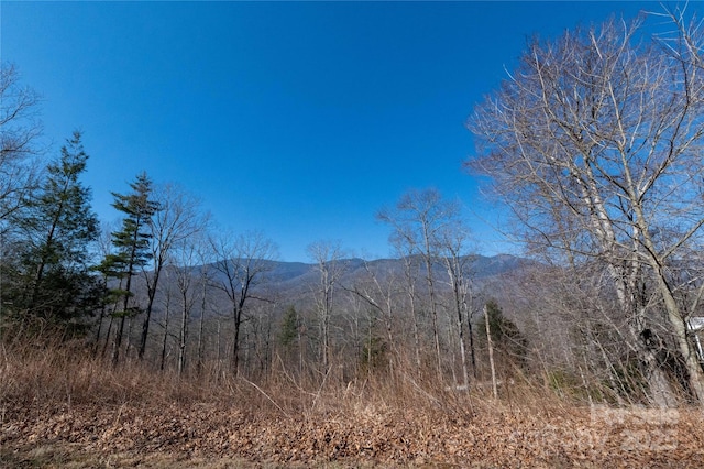 000 Mt Mitchell Dr, Burnsville NC, 28714 land for sale