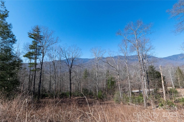 Listing photo 3 for 000 Mt Mitchell Dr, Burnsville NC 28714