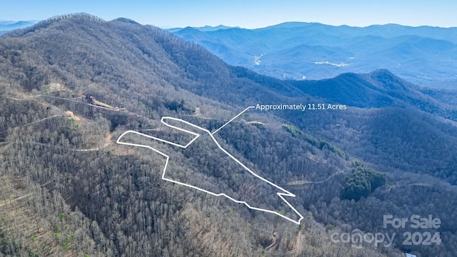 Listing photo 2 for 9999 One Feather Rd Lot E103, Whittier NC 28789