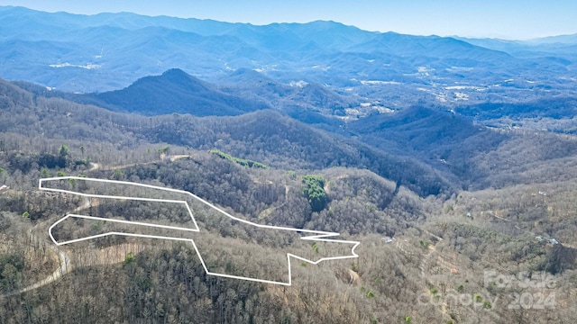 Listing photo 3 for 9999 One Feather Rd Lot E103, Whittier NC 28789