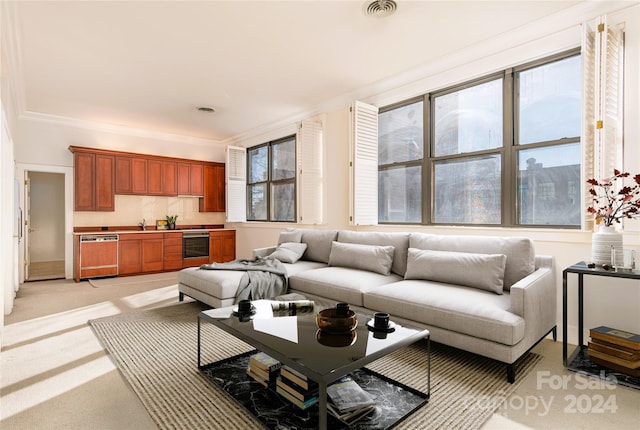 carpeted living room featuring ornamental molding and sink