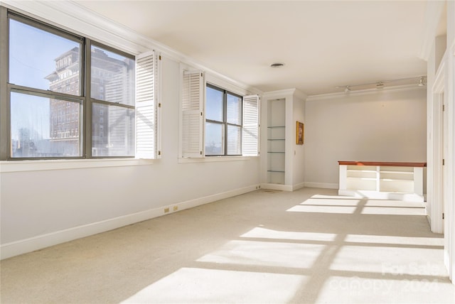 spare room featuring crown molding and light colored carpet