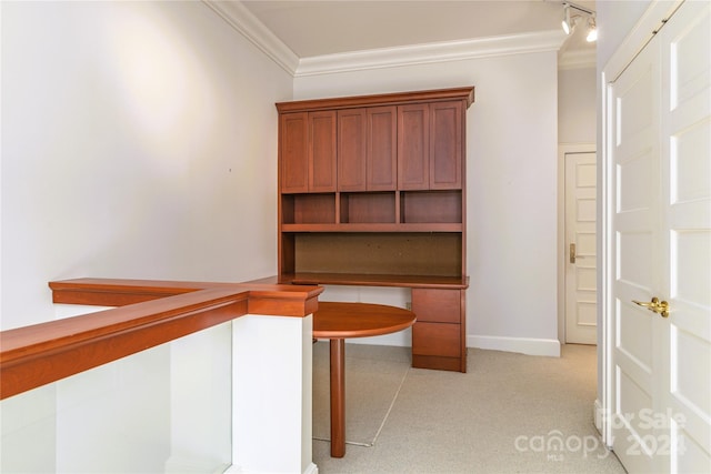 interior space featuring light carpet and crown molding