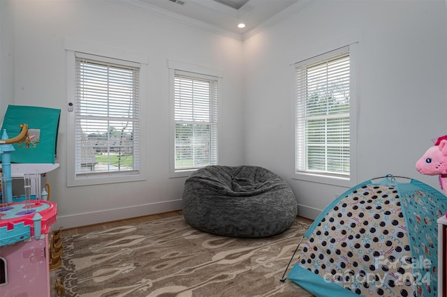 game room featuring plenty of natural light and ornamental molding