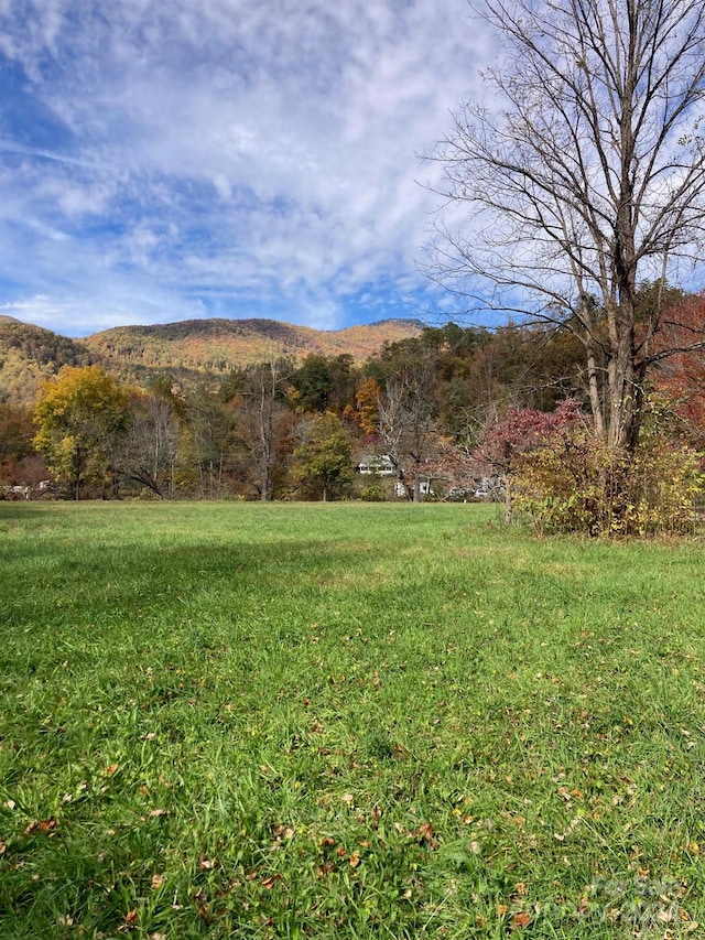 Listing photo 2 for TR2 Spalding Rd, Sylva NC 28779