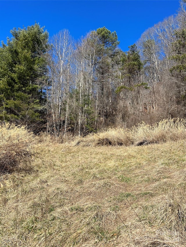 view of local wilderness