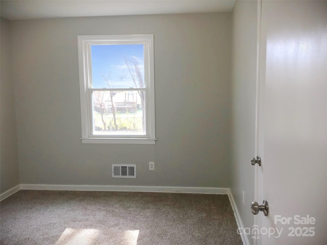 spare room with carpet floors