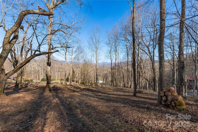 000 Evergreen Farm Cir Unit 41, Waynesville NC, 28786 land for sale