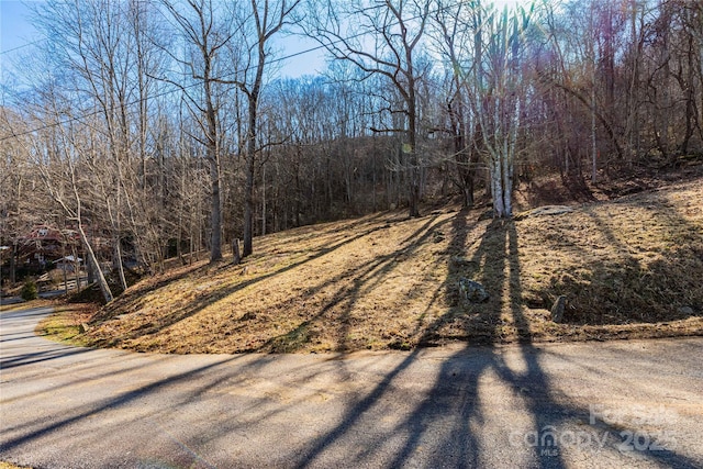 Listing photo 3 for 000 Evergreen Farm Cir Unit 41, Waynesville NC 28786