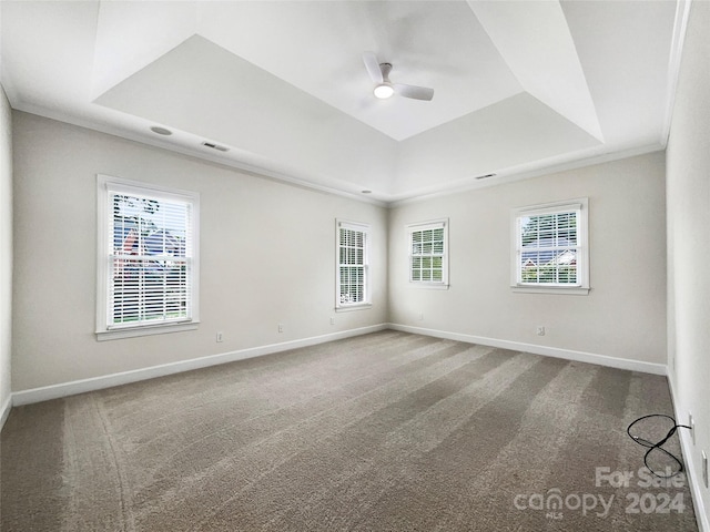 carpeted empty room with a wealth of natural light, a raised ceiling, and ceiling fan