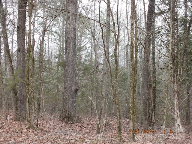 Listing photo 3 for 00 Craig Farm Rd, Lancaster SC 29720