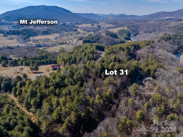 Listing photo 2 for TBD Shawnee Trail 31, Jefferson NC 28640