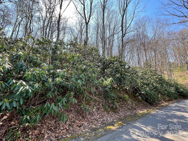 111 Deer Run Ln Unit 40, Asheville NC, 28805 land for sale