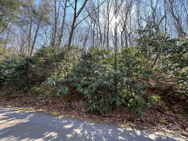 111 Deer Run Ln Unit 40, Asheville, NC 28805 - photo 4