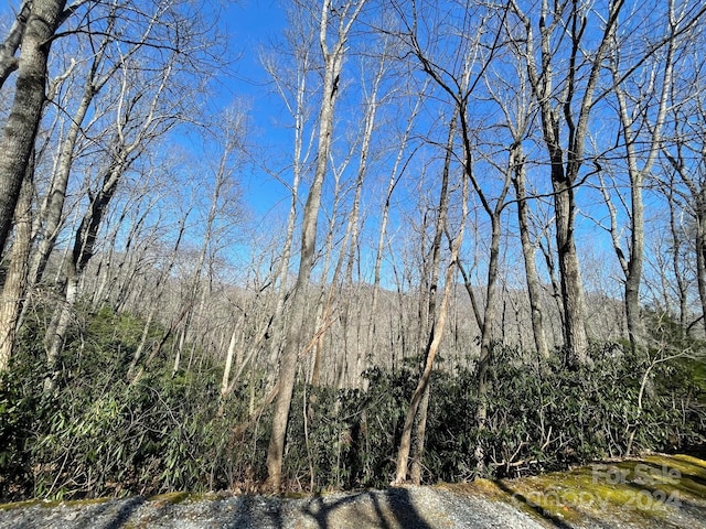 111 Deer Run Ln Unit 40, Asheville, NC 28805 - photo 5