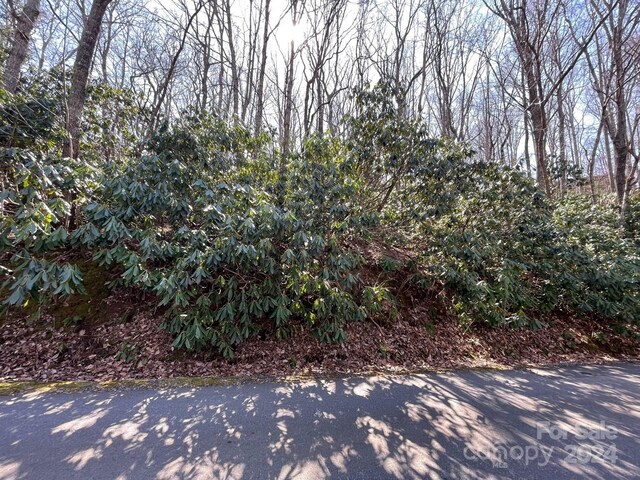 111 Deer Run Ln Unit 40, Asheville, NC 28805 - photo 6