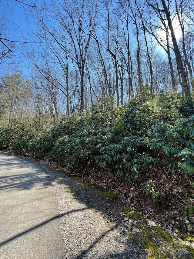 111 Deer Run Ln Unit 40, Asheville, NC 28805 - photo 7