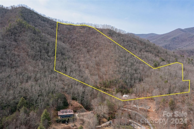 48 Houdini Trl, Canton NC, 28716 land for sale