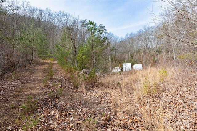 Listing photo 3 for 48 Houdini Trl, Canton NC 28716