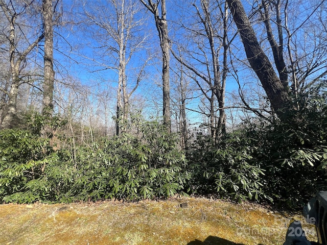 0000 Reserve Rd, Pisgah Forest NC, 28768 land for sale