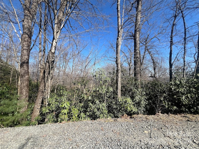 Listing photo 2 for 0000 Reserve Rd, Pisgah Forest NC 28768