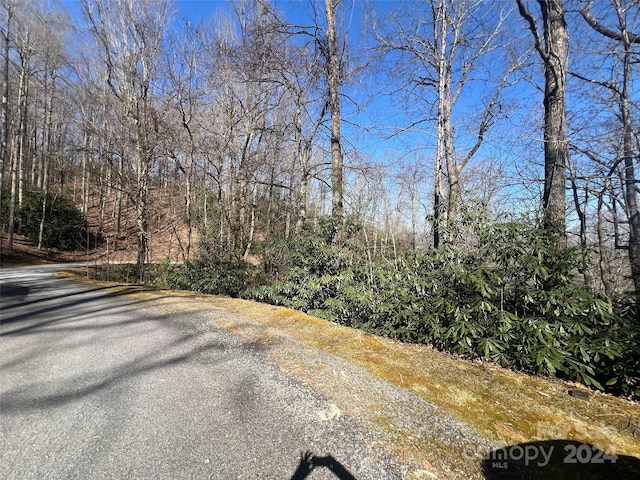 Listing photo 3 for 0000 Reserve Rd, Pisgah Forest NC 28768