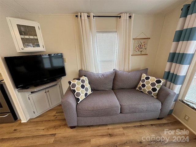 living room with light hardwood / wood-style flooring