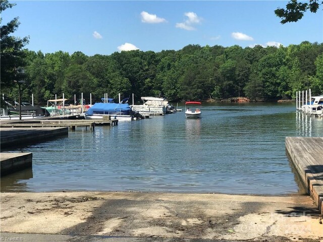 dock area with a water view