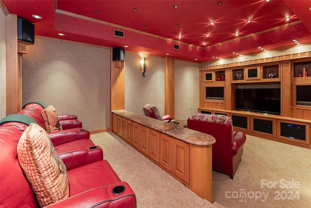 carpeted cinema with a raised ceiling and built in shelves