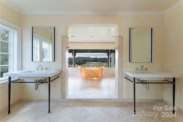 bathroom featuring double sink and crown molding