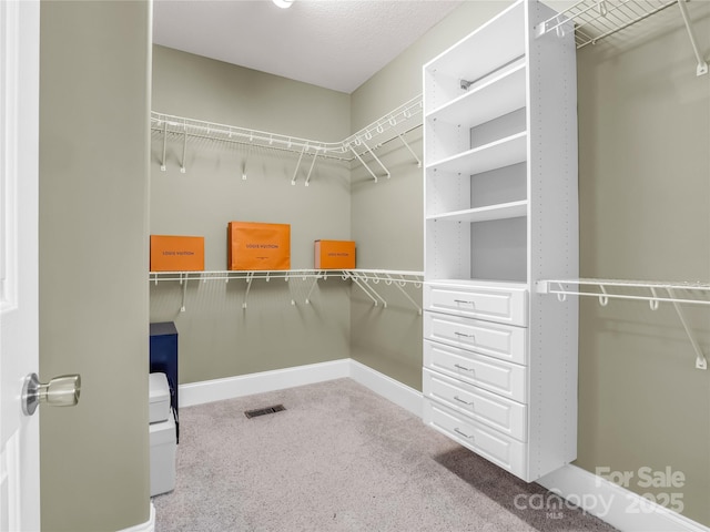 walk in closet with carpet