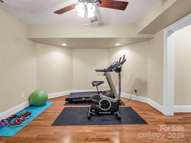 workout area featuring hardwood / wood-style floors and ceiling fan