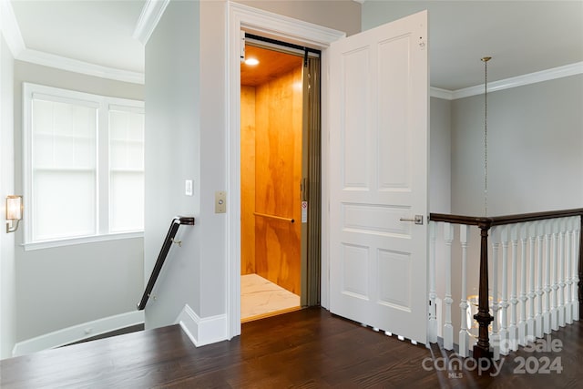 corridor featuring dark hardwood / wood-style floors, a barn door, and ornamental molding