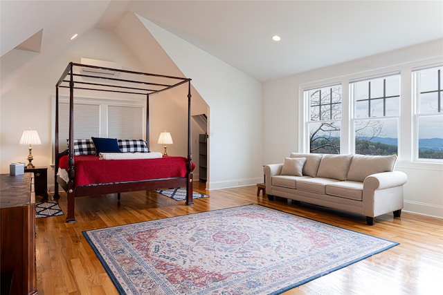 living room featuring wood-type flooring and lofted ceiling