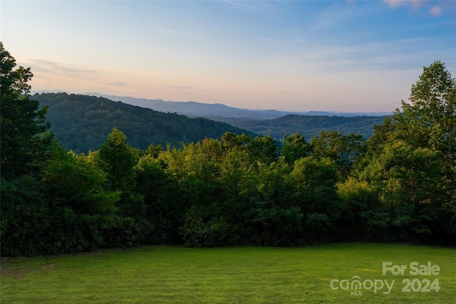 property view of mountains with a wooded view