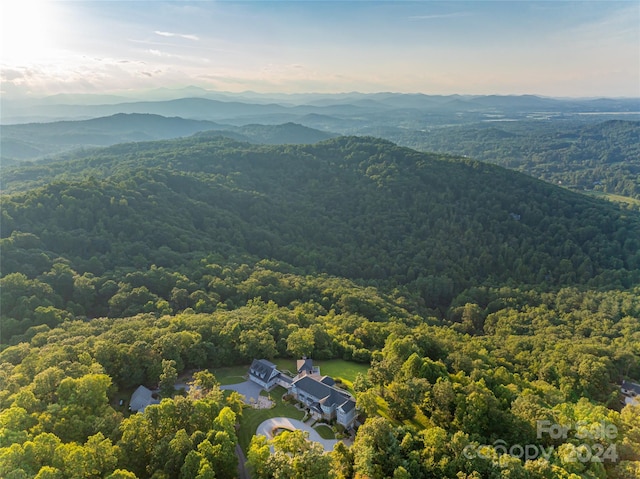 birds eye view of property with a mountain view