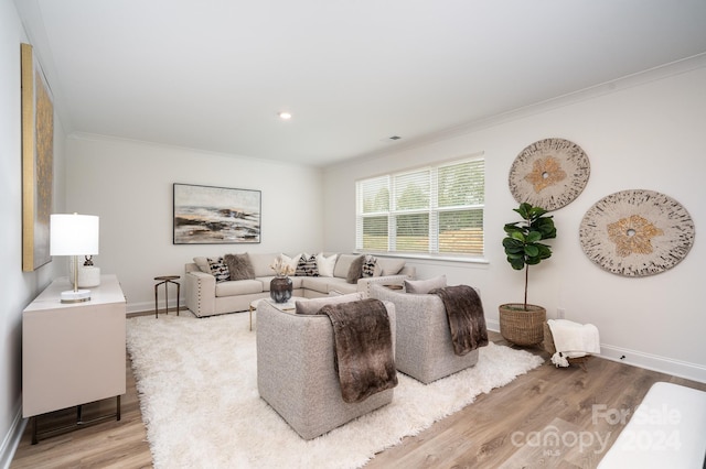 living room with light hardwood / wood-style flooring and crown molding