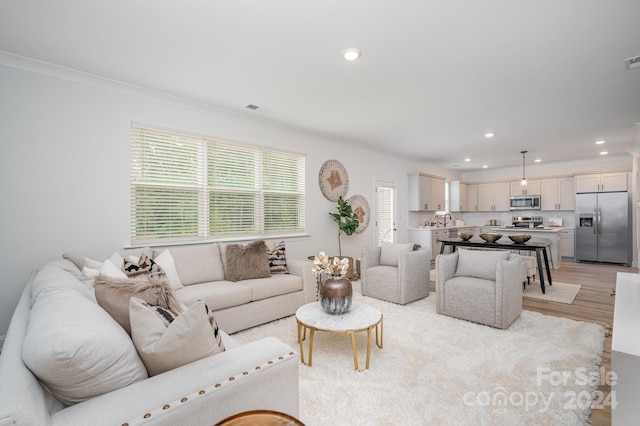 living room featuring light hardwood / wood-style flooring, sink, and ornamental molding