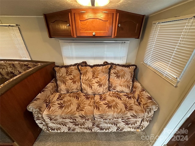 carpeted living room featuring a textured ceiling