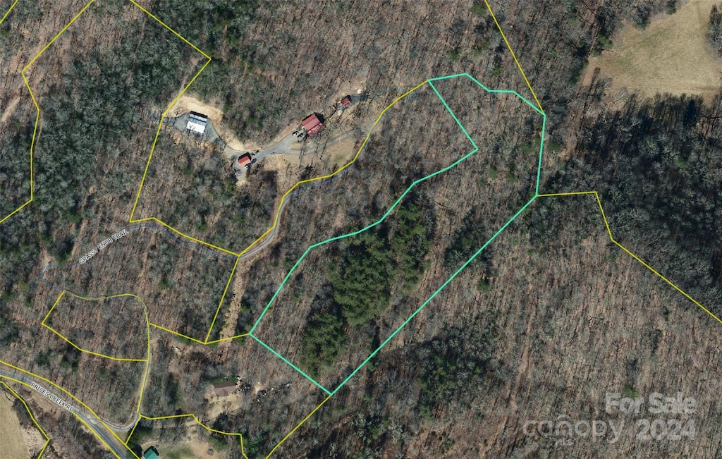 00 Prices Creek Rd, Burnsville, NC 28714 - photo 1