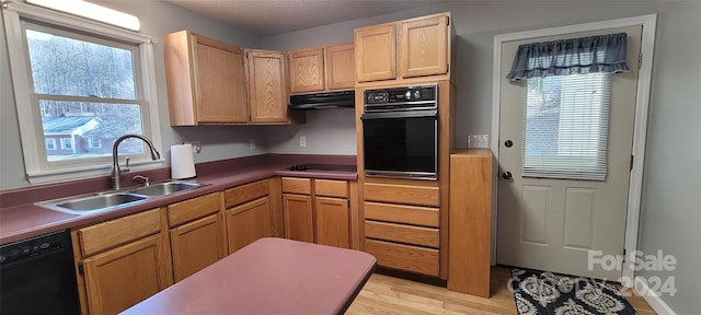 kitchen featuring a wealth of natural light, light hardwood / wood-style floors, black appliances, and sink