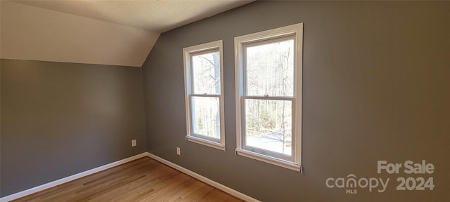 additional living space with lofted ceiling, light hardwood / wood-style flooring, and a wealth of natural light