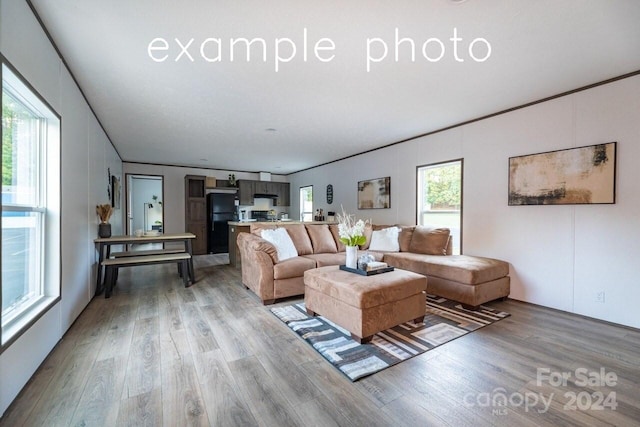 living room with hardwood / wood-style flooring, a healthy amount of sunlight, and ornamental molding