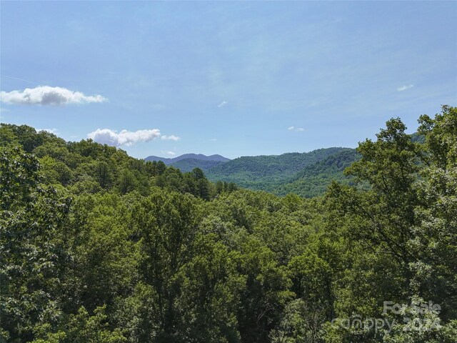 TBD Ironwood Ln Unit T-100, Black Mountain NC, 28711 land for sale