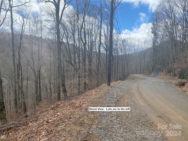 Listing photo 2 for TBD Fox Den Rd, Mars Hill NC 28754